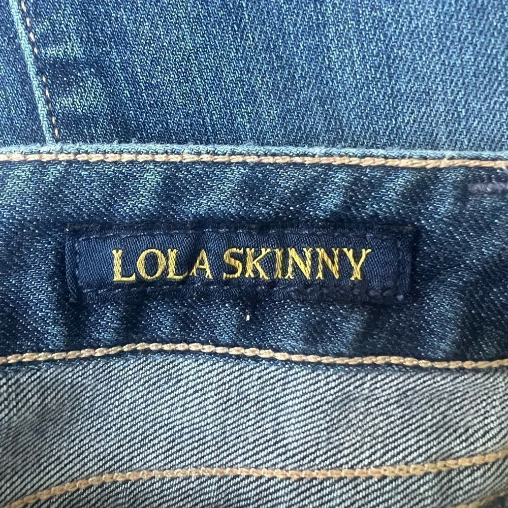 Lucky Brand Lolita Skinny Low Rise Medium Rinse Distressed Jeans sz 4 - Picture 10 of 11